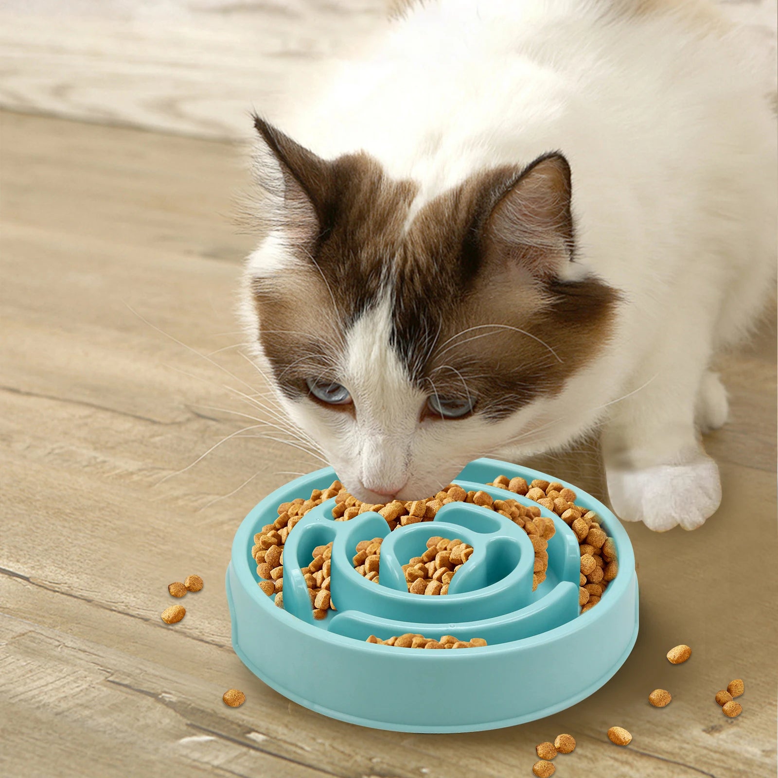 Slow Feeder Dog Bowl – Anti-Gulping Non-Slip Feeding Dish for All Breeds